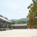 국립낙안민속자연휴양림 이미지