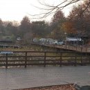 꽃이야 나무야 파주 이미지