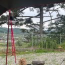 경북군위캠핑장 대구근교 아이들이랑 가기 좋은 팔공마루오토캠핑앤캠프닉 계곡 (추천)