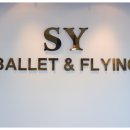 SY GYM | [방배동 필라테스]다짐앱으로 운동도취향따라,SY발레필라테스&amp;플라잉요가