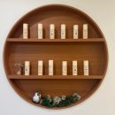 데일리앤스파 이미지