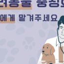 다가온동물병원 이미지