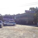 원광대학교 박물관 | [전라북도 익산시] 익산 왕궁리 오층석탑