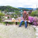 정태농장 이미지