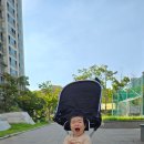 탐이나인형방 | [ 8세대 BMW 파파야나인 푸쉬카 ] 15개월 아기 내돈내산 구매 및 사용 후기