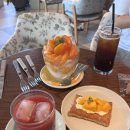 콜린제주