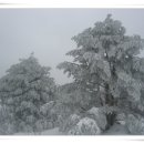 설경산수화 이미지