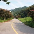 일암천 네이버블로그