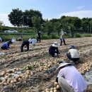 재난안전과 이미지