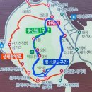 솔고지 이미지