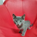 묵동-055 이미지