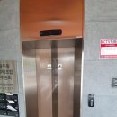 신안마원 이미지