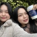 버블리 이미지