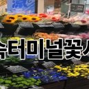 터미널시장 티스토리