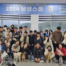 댕댕스쿨 이미지