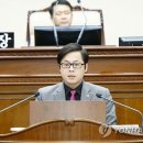 김기홍 Daum카페