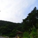 [라이딩]국토종주 후기-박진고개