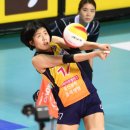 GS칼택스 이미지