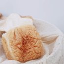 카페정담 - 전주시 덕진구 모래내6길 7 | 카페정담