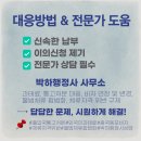 박하 행정사 사무소 이미지