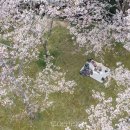 (주)강릉씨티호텔 이미지