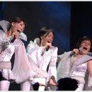 맘마미아 독 이미지