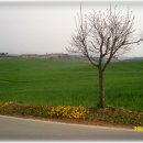 셀프장어 이미지