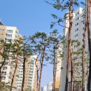 문장부동산공인중개사사무소 이미지