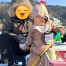 강원나물밥 채원 이미지