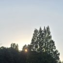 해맞이공인중개사사무소 이미지