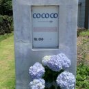 코코코게스트하우스 이미지