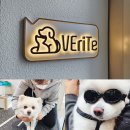 베리떼 동물병원 이미지