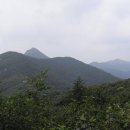 삼막골 | 영동/무주 민주지산(岷周之山(1,241.7m)-삼도봉(三道峰) 산행기