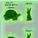 토끼와거북이