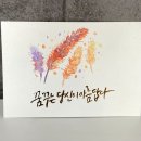수채 담은 캘리그라피 | 캘리그라피 배우기 독학하고 작가 된 근황
