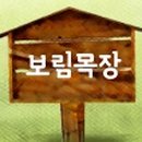 보림목장 이미지