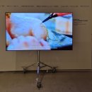 크리에이티브잇다 | 총정리/추수 전시, 김창열 회고전, 2025 올해의 작가상, 한국 현대미술 하이라이트 관람 후기 (~26.5.3)