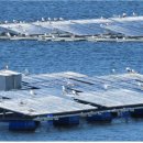 수상에너지태양광발전소 이미지