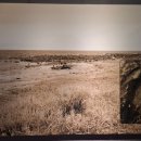 제주 사람발자국과 동물발자국 화석산지 이미지