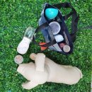 이로운 강아지 이미지