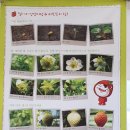 성정농장 이미지