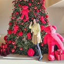 고하대로 | 목포 카페 석산 대형 크리스마스 트리 포토존 주말 주차 후기