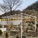 [경북/청도]욜로욜로근처_애견동반카페 “포레스토리”