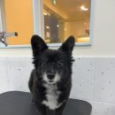 올치유치원 이미지