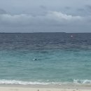 인천공항고등학교 앞 이미지