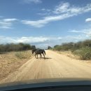 오티농장 이미지