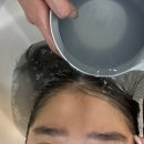 쎄이헤어 이미지