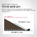 디씨엠(주) 이미지