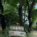 그루터기 | 작은 플리마켓, 원주 그루터기 마켓 다녀온 후기