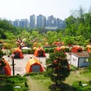 참나무숲오토캠핑장 이미지